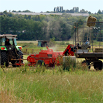 Extensive Landwirtschaft im Naturschutzgebiet