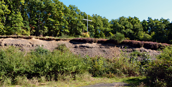 034 spatzenberg wehrenberg