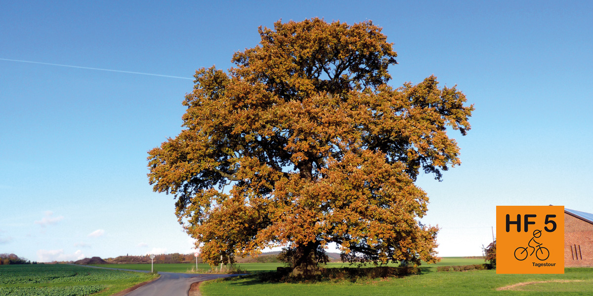 tagesroute5 blick-klosterbauerschaft