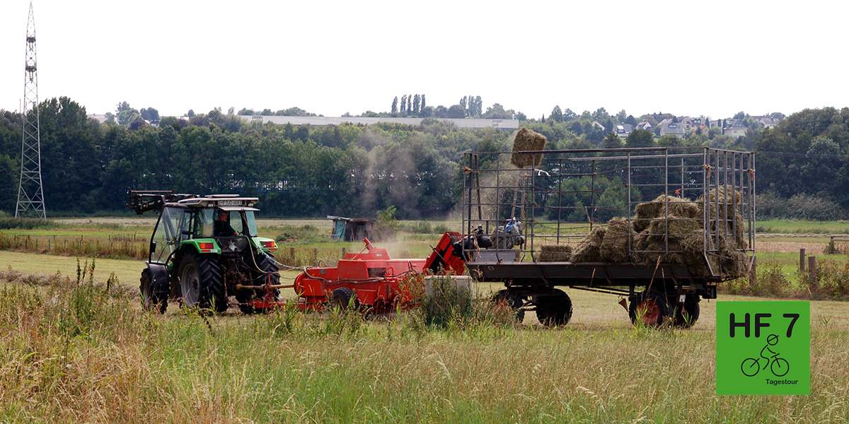 tagesroute7 extensive-landwirtschaft